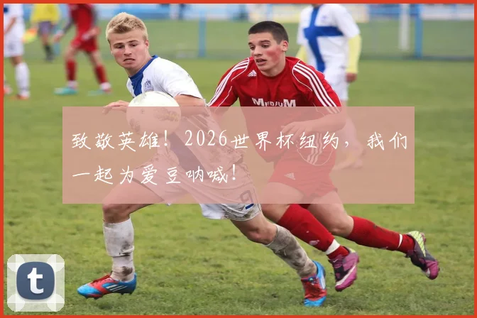 致敬英雄！2026世界杯纽约，我们一起为爱豆呐喊！