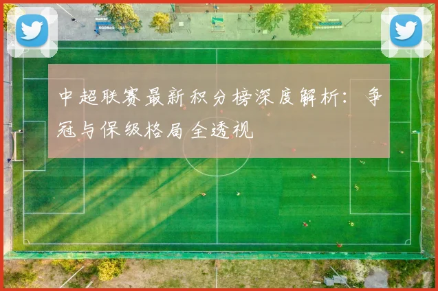 中超联赛最新积分榜深度解析：争冠与保级格局全透视